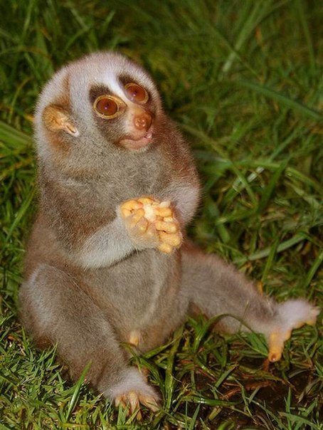 Алексей Смирнов | Чебоксары (деревня)