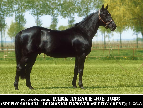 №42, Илья Исаев, 5.8.1988 №42, Илья Исаев, 5.8.1988