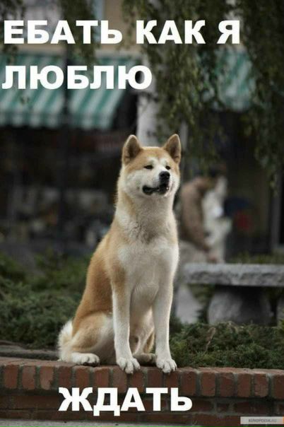 №68, Юлия Эпельбаум, Санкт-Петербург №68, Юлия Эпельбаум, Санкт-Петербург