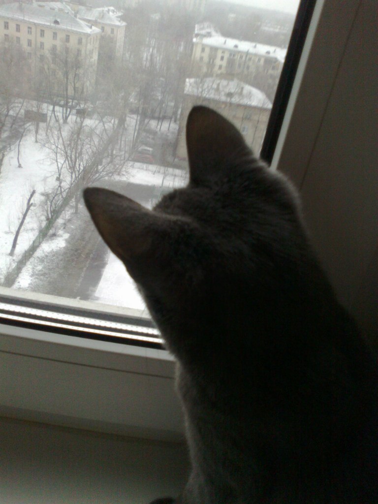 Наталия Кривченкова Ипатова | Москва