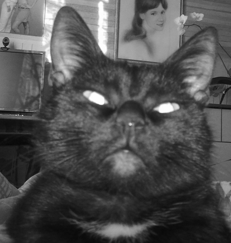 Роман Молокитин | Тольятти