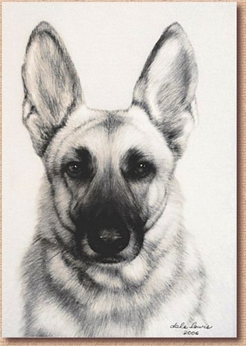 Владислав Швидкий <Mladschiy> | Киев