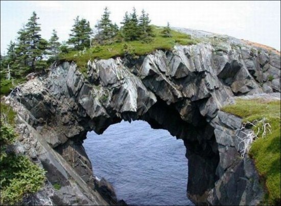 №42, Кристина Буш, 32 года, Лобня №42, Кристина Буш, 32 года, Лобня