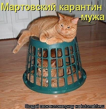 Ксения Кожанова | Москва