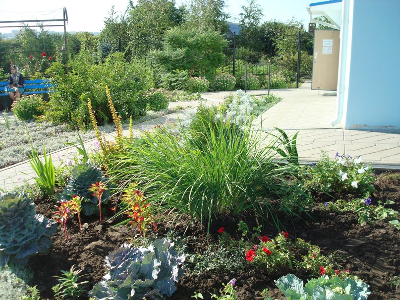 Лена Елена | Ростов-на-Дону