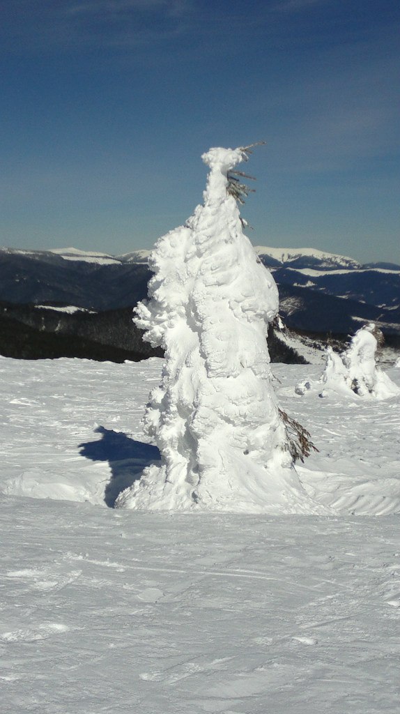 Елена Ерусланова | Донецк