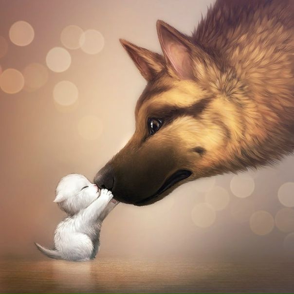 №18, Вера Котова №18, Вера Котова