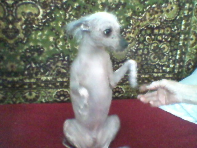 Владимир Голованов | Чуваши