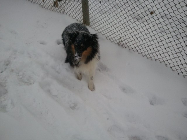 Алексей Ананьев | Екатеринбург