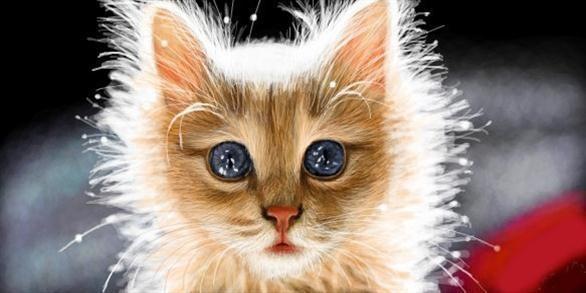 №33, Edik Pahalan, 37 лет, Ростов-на-Дону №33, Edik Pahalan, 37 лет, Ростов-на-Дону