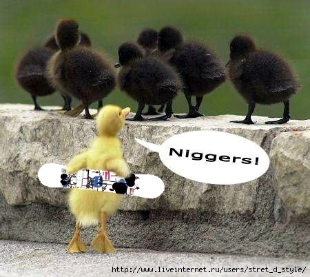 №1, Егор Кравченко №1, Егор Кравченко