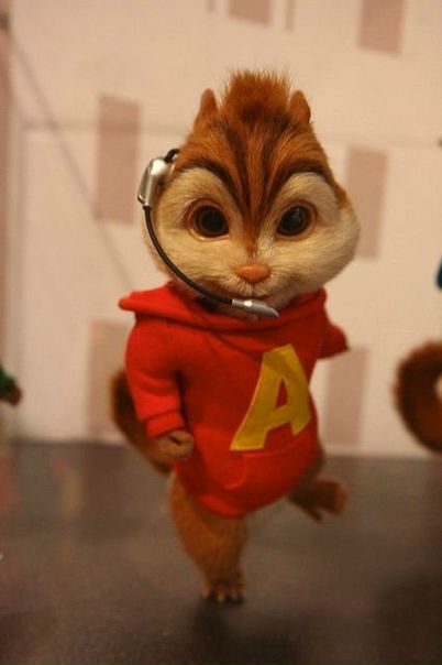 №6, Элвин Севилл №6, Элвин Севилл