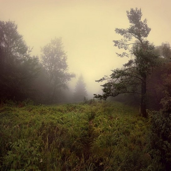 №97, Иван Беликов, Москва №97, Иван Беликов, Москва