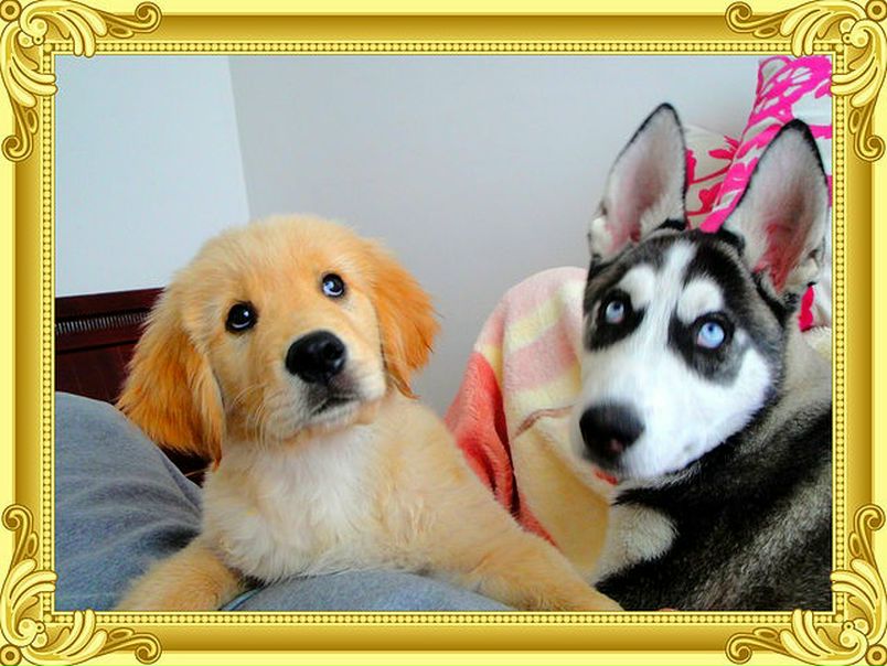 №20, Annastasia Andrienko, 38 лет, Shanghai №20, Annastasia Andrienko, 38 лет, Shanghai