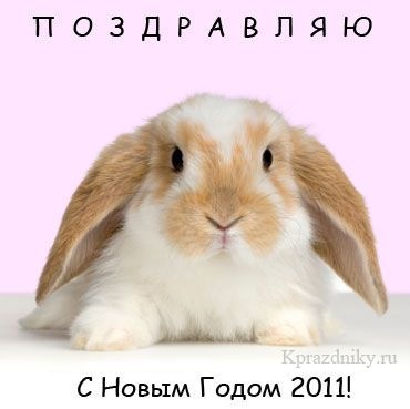 №108, Евген Михайлов, Немиров №108, Евген Михайлов, Немиров
