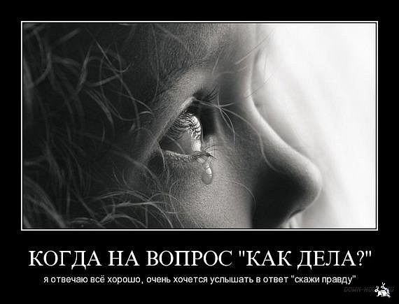 №43, Яна Кокуркина, Нижний Новгород №43, Яна Кокуркина, Нижний Новгород