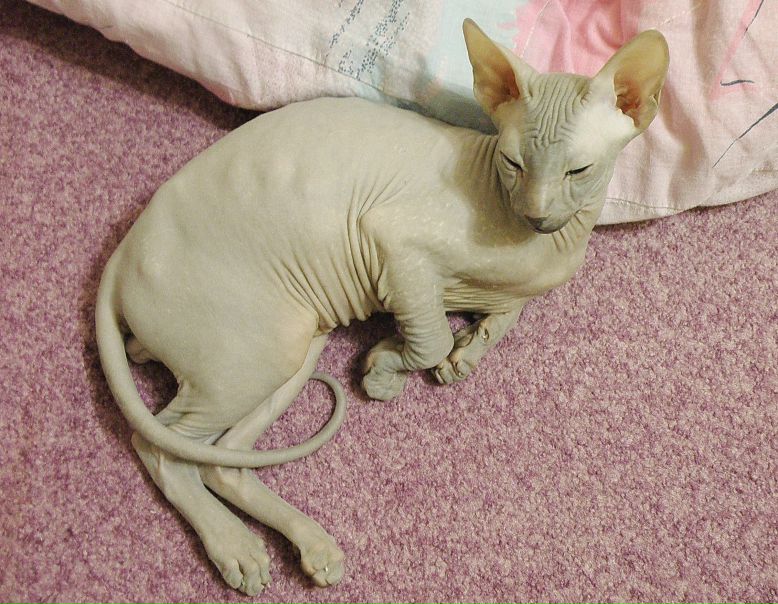 №100, Наталья Брюхова, 52 года, Пермь №100, Наталья Брюхова, 52 года, Пермь