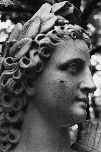 №63, Вера Першина, Санкт-Петербург №63, Вера Першина, Санкт-Петербург