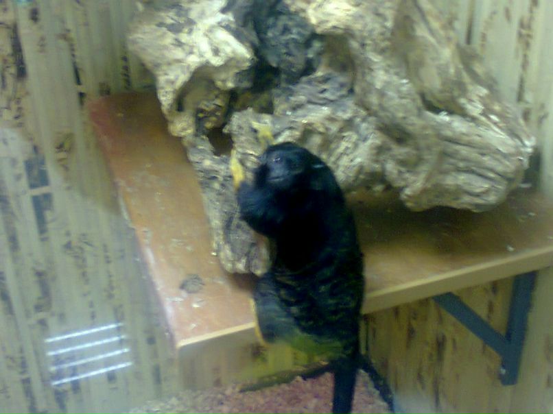 Анна Свищ ✿ܓBaRsY4kA✿ܓ | Харьков