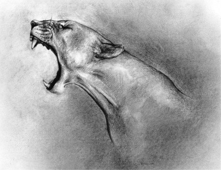 Татьяна Соловьева | Одесса