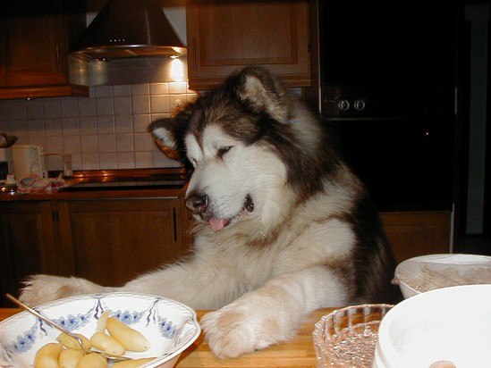 Алла Инкулец | Куровское