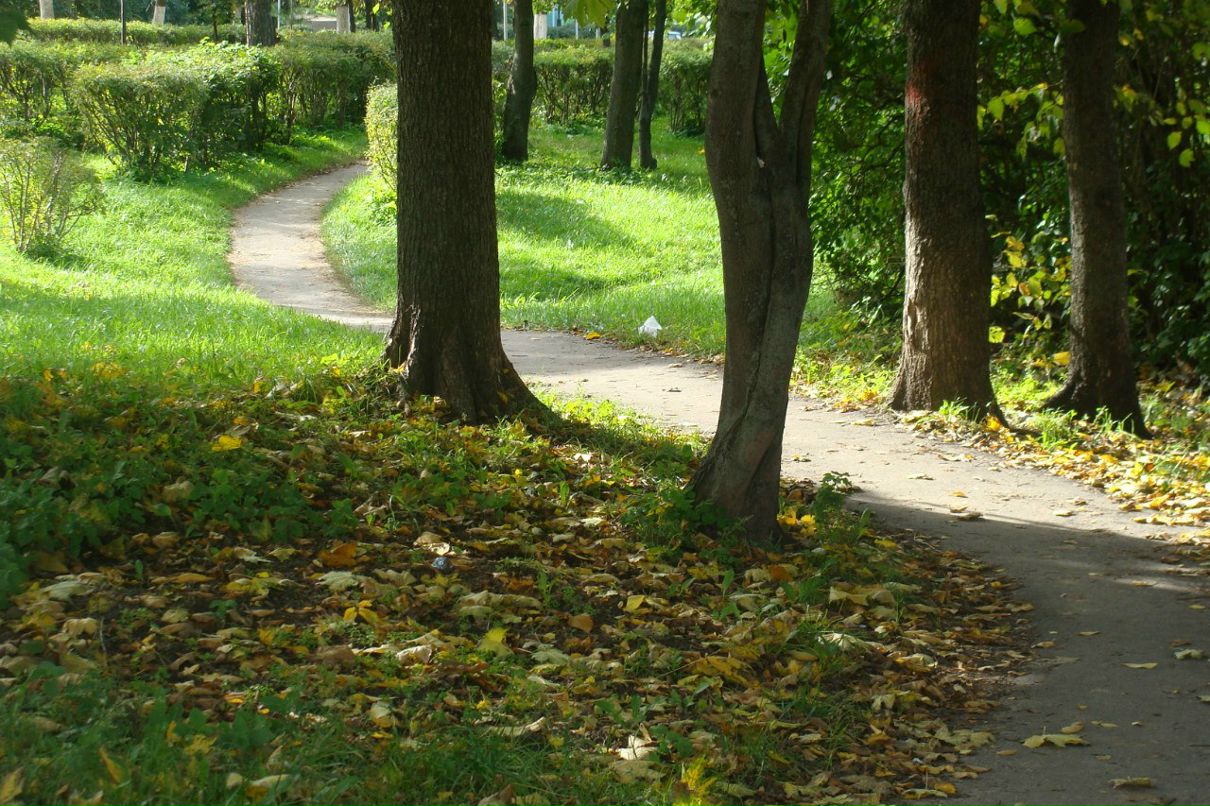 Наталья Меркулова | 