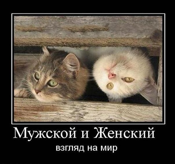 Лена Головач <---> | Днепр (Днепропетровск)