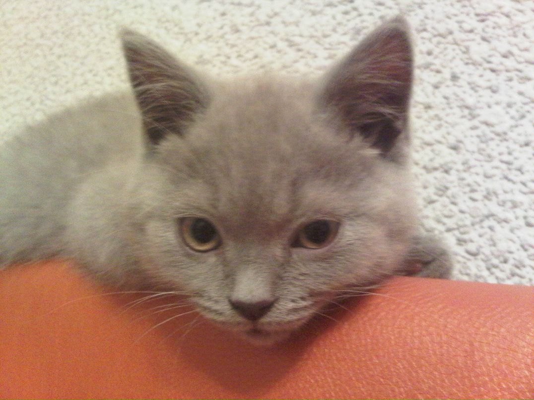 Елена Марова | Санкт-Петербург