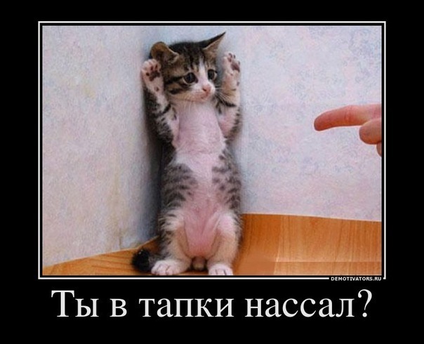 №48, Денис Океев, 40 лет, Севастополь №48, Денис Океев, 40 лет, Севастополь