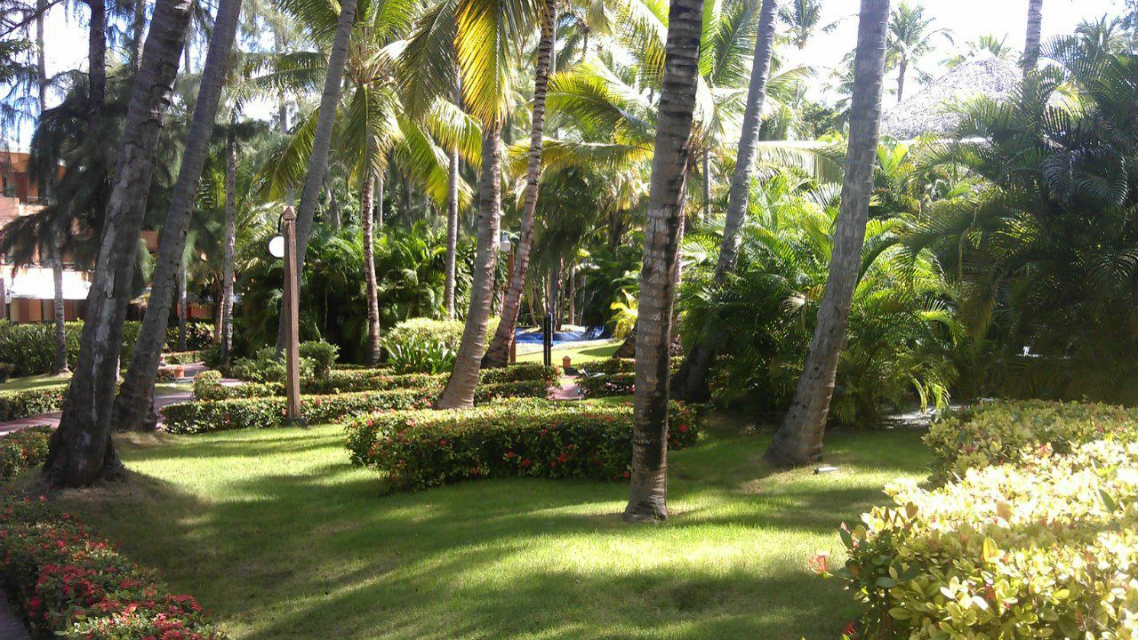 Иван Алексеев | Москва