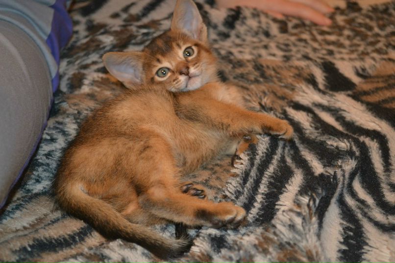 Надежда Степина | Тула