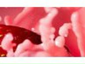 Анна Веретковская | Красногорск