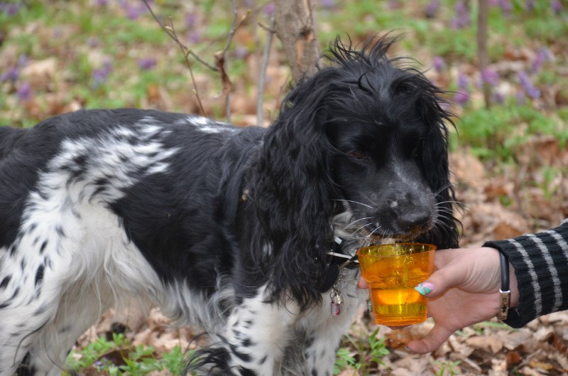 Алла Дружинина | Севастополь