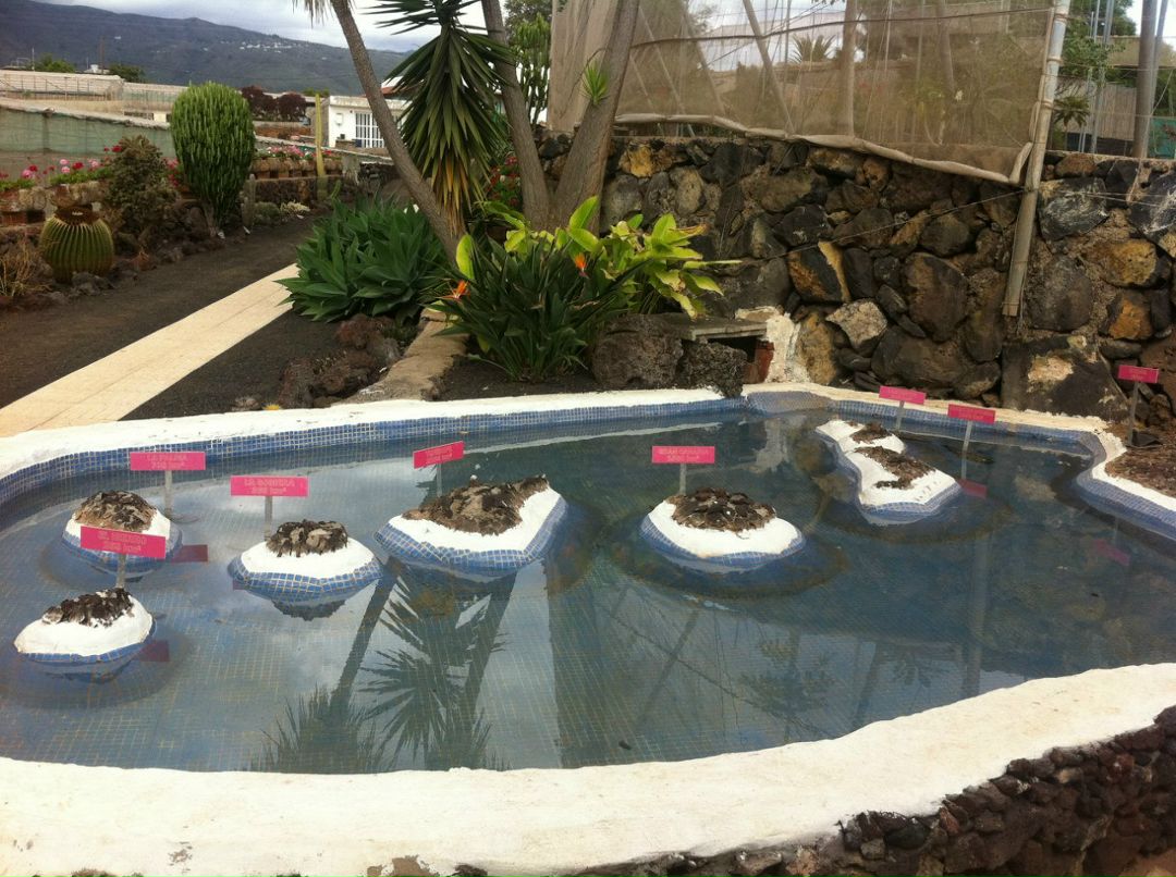 Марья Юнусова | Краснодар