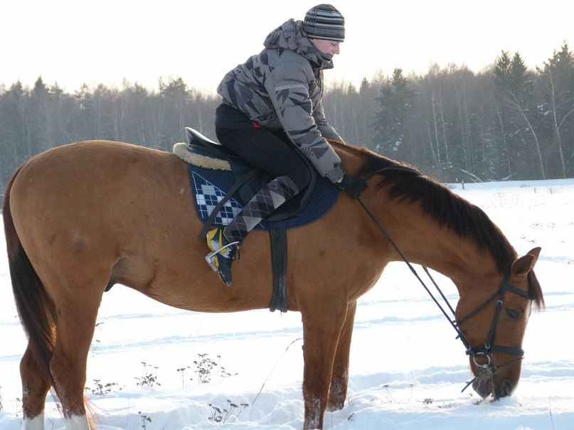 Нурик Холмирзаев | Москва