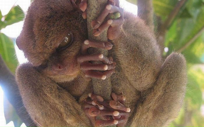 №88, Сергей Лапин, 44 года, Харьков №88, Сергей Лапин, 44 года, Харьков