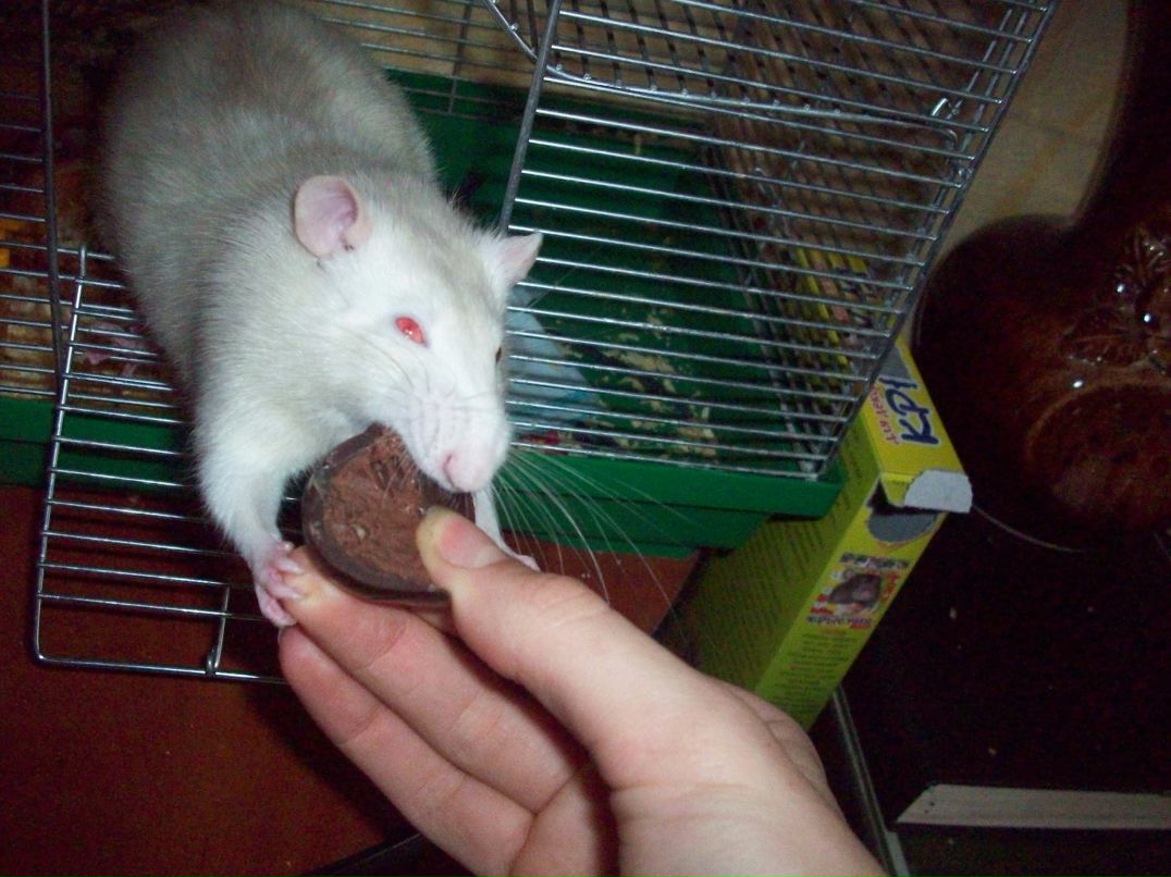 Стас Григоренко †AlieN† | 