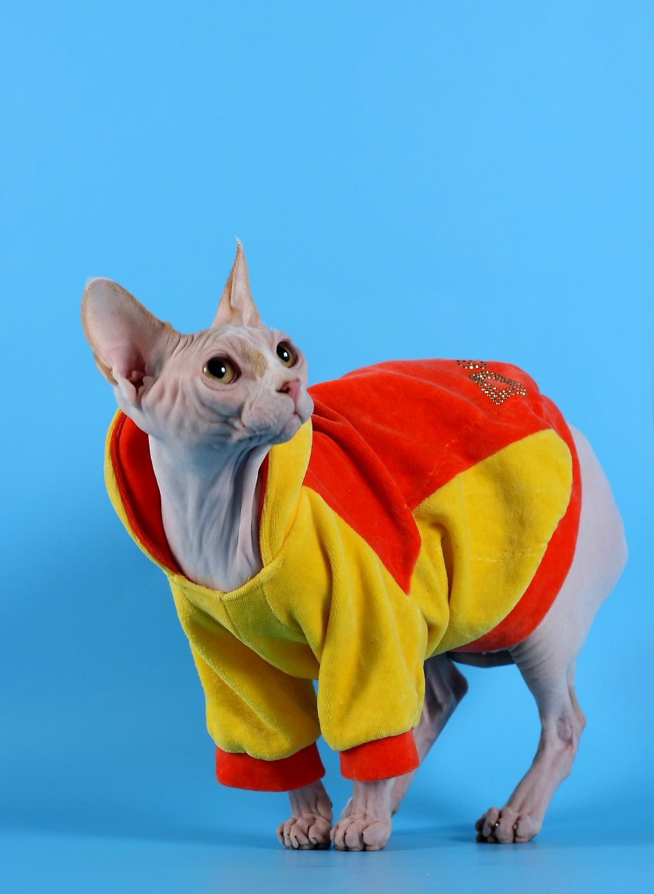 Екатерина Макарова | Екатеринбург