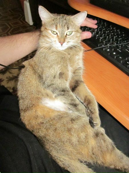 №45, Андрей Князев, 43 года, Калуга №45, Андрей Князев, 43 года, Калуга