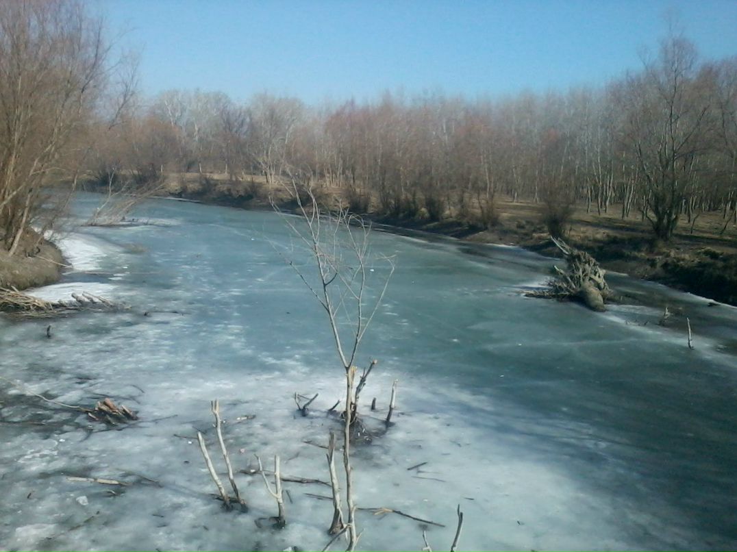 Денис Гоменюк | Одесса