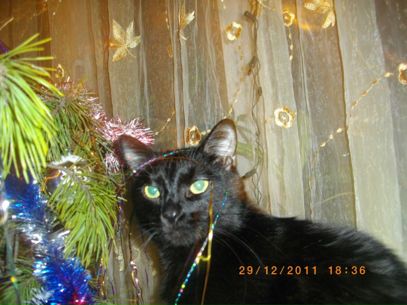 Лариса Акимова | Павлоград