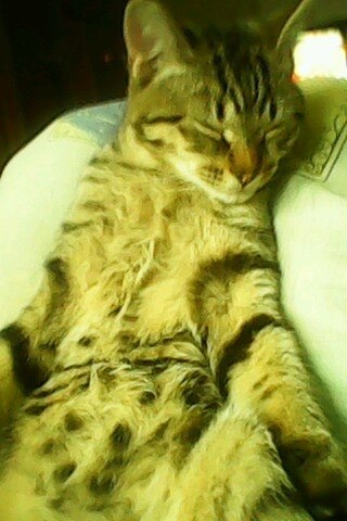 Оксана Михайлова ♥♥♥ | Москва