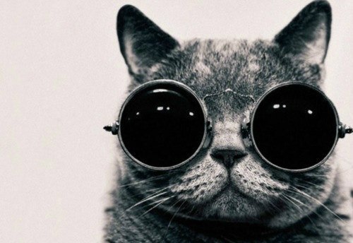 Татьяна Сабирова | Хабаровск