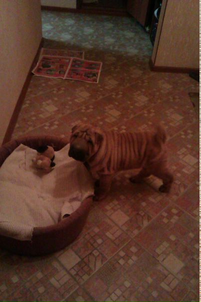 №5, Ксения Астахова, Казань №5, Ксения Астахова, Казань