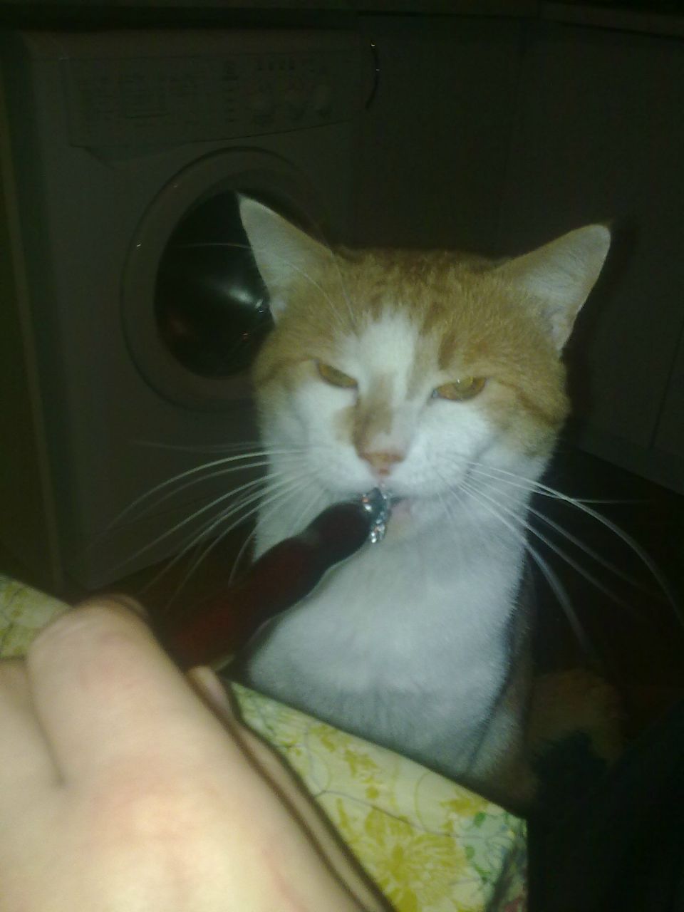 Рома Лунин Stein | Симферополь