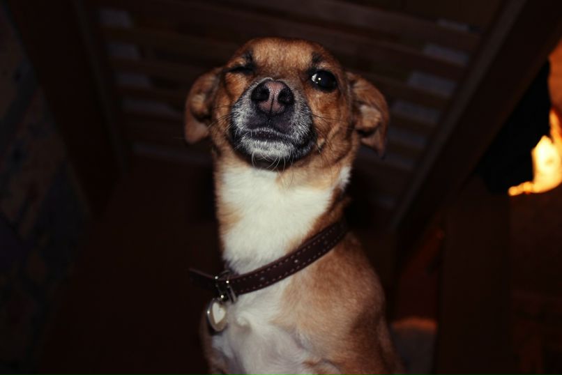 Юлия Димитрошкина | Ижевск