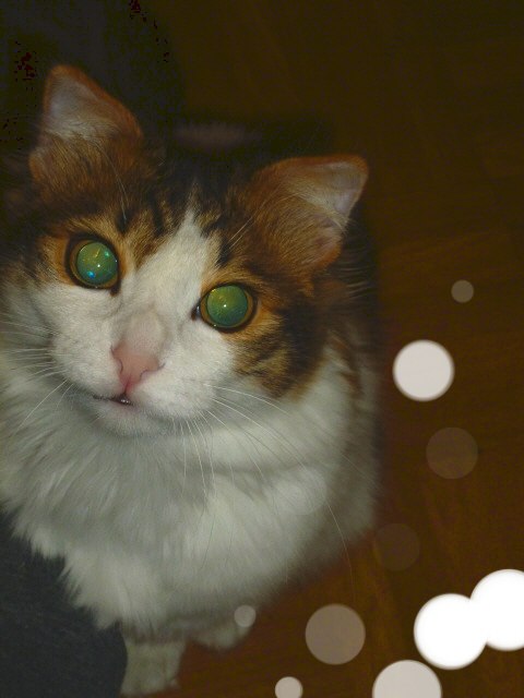 Соби Агацума 