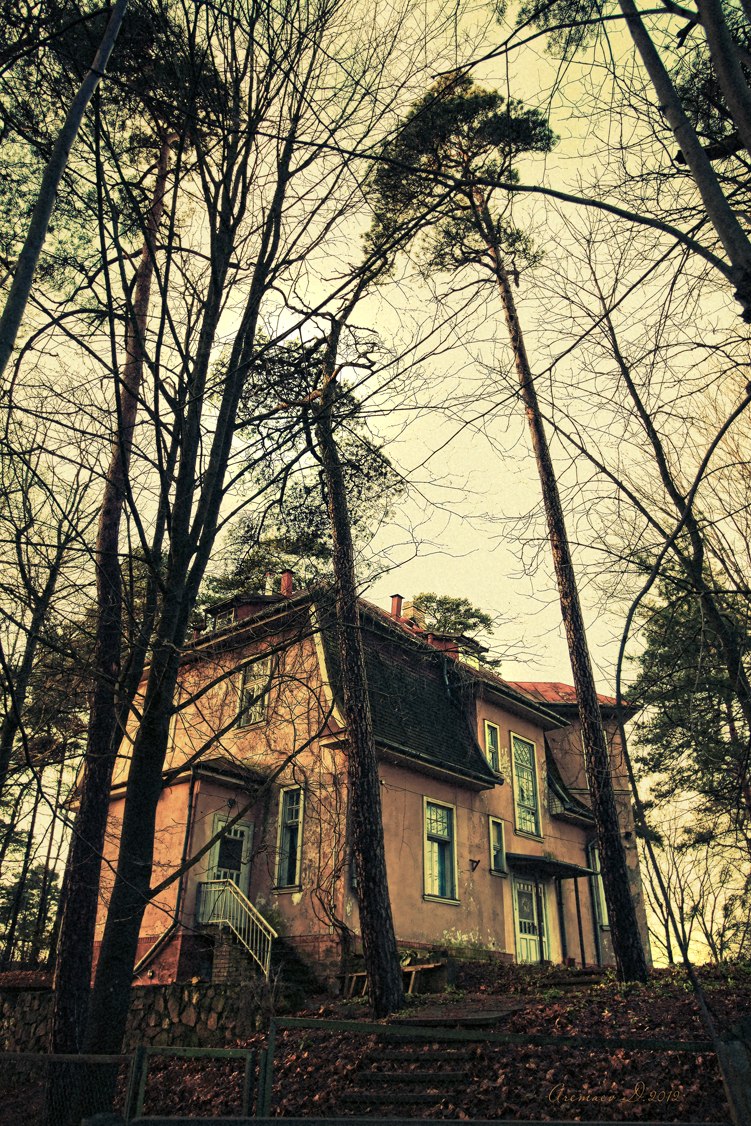 Дмитрий Аремаев | Москва