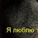 №5, ♥маргоритка♥ ♠голубева №5, ♥маргоритка♥ ♠голубева