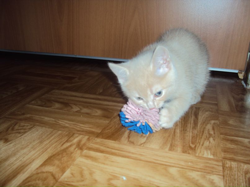 Ирина Тюменева | Новокузнецк